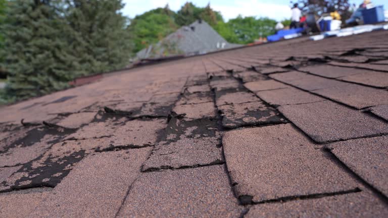 Best Roof Leak Repair  in Somers Point, NJ